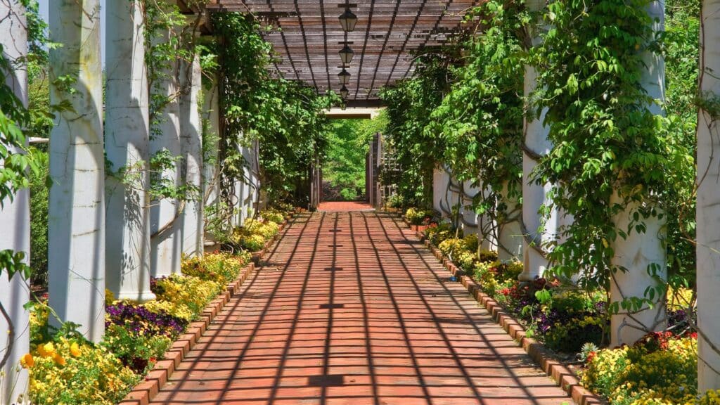 pergolas solaires bois
